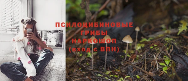 дурь Нязепетровск