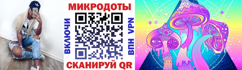 цена   Касли  Псилоцибиновые грибы Psilocybe 